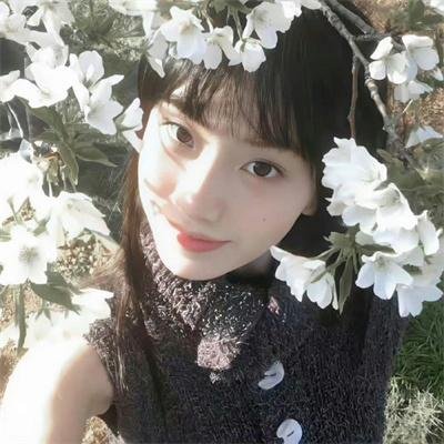 咒术回战粤语版